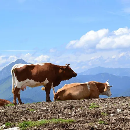 Krvavec Hotell Cerklje na Gorenjskem