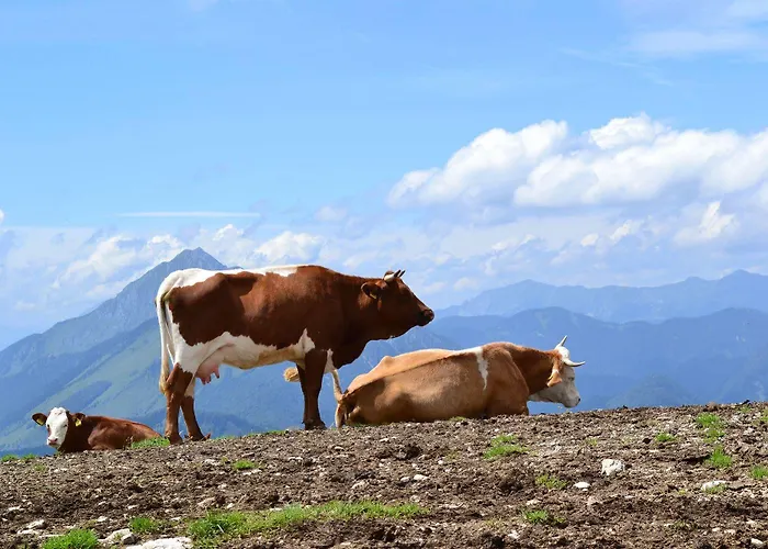 Krvavec Hotel Cerklje na Gorenjskem